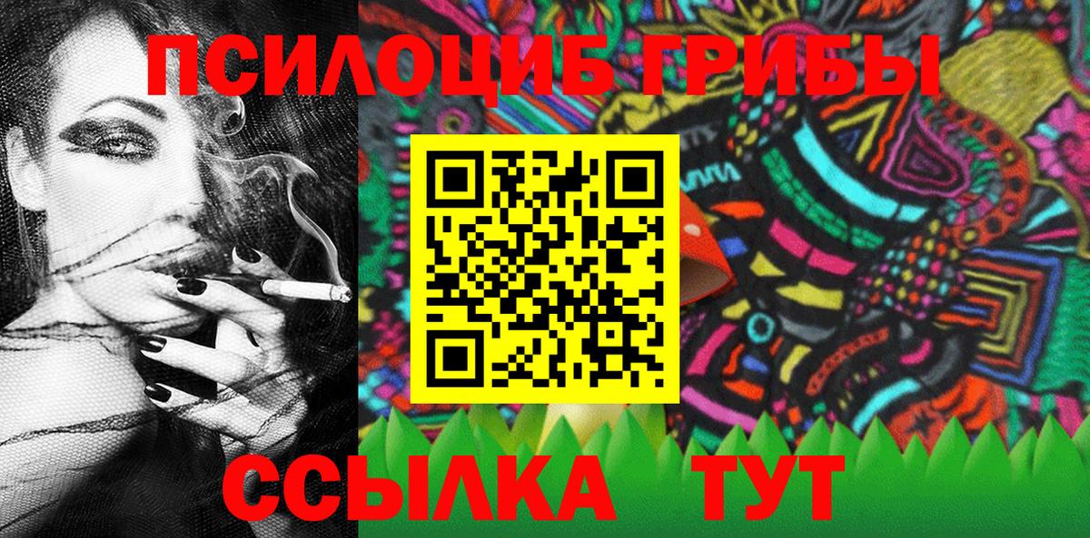 Псилоцибиновые грибы GOLDEN TEACHER Удомля
